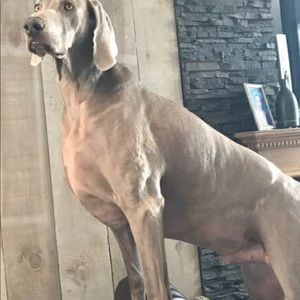 Meet your Posher, Tina